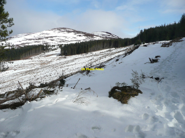 Photo 6"x4" The Craigower track near its summit Pitlochry c2010