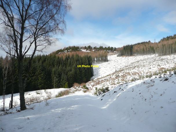 Photo 6"x4" Craigower from the forest track Pitlochry c2010