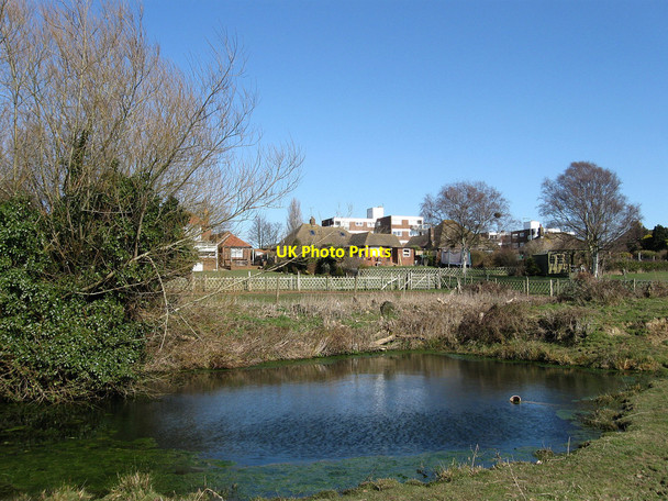 Photo 6"x4" Pond near Barnhorne Manor Cooden c2010