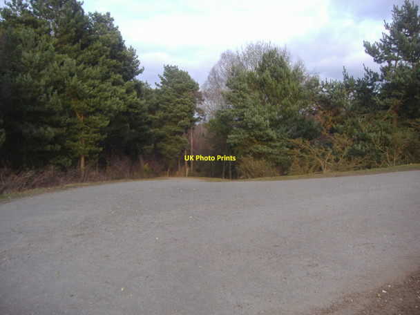 Photo 6"x4" Entrance to footbridge over the A3, Esher Common Esher c2010