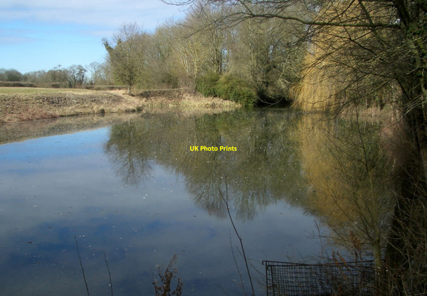 Photo 6"x4" A Pond near Crowmarsh Wallingford c2010