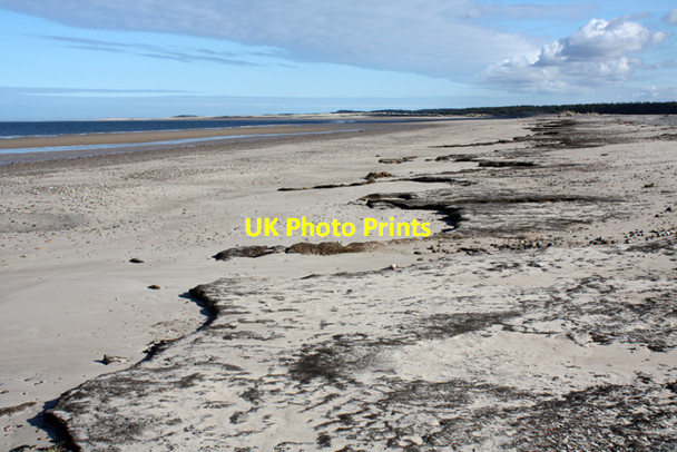 Photo 6"x4" Erosion, The Bar, Culbin Ba c2010