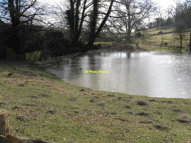 Photo 6"x4" Duck pond at Saddlescombe Farm Saddlescombe c2010