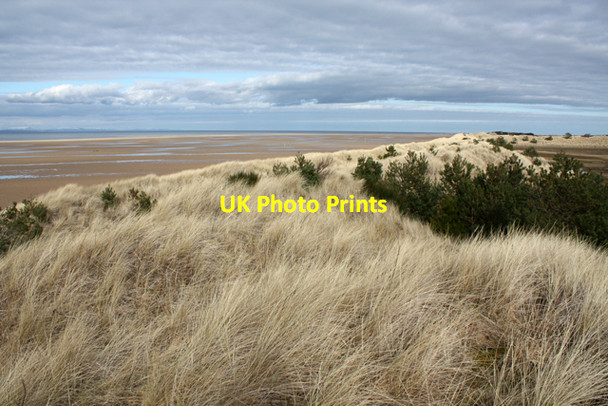 Photo 6"x4" Dunes, The Bar, Culbin Cloddymoss c2010