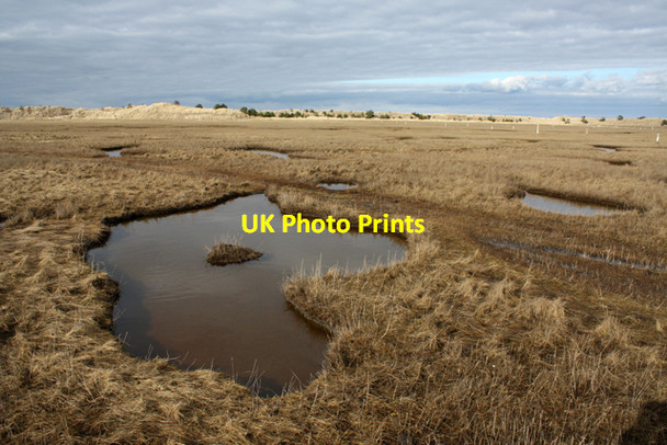 Photo 6"x4" Salt marsh, Culbin Cloddymoss c2010