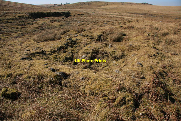 Photo 6"x4" Remains of tinners' building Giant's Basin c2010