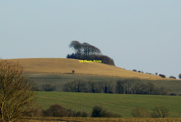 Photo 6"x4" Woodborough Hill south-east of Alton Barnes Alton Priors c2010