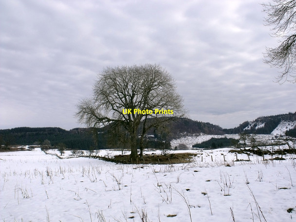Photo 6"x4" At North Third Cambusbarron c2010