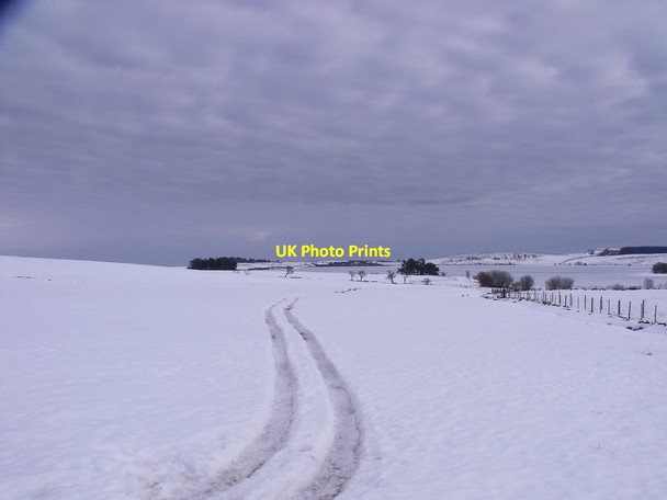 Photo 6"x4" Snow Tracks Craigend\/NS7887 c2010