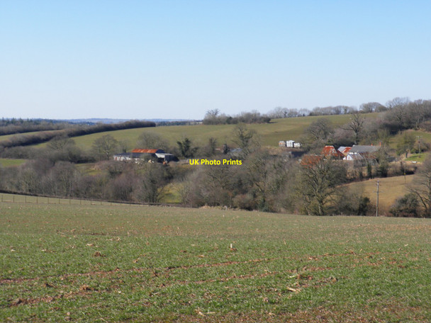 Photo 6"x4" View towards Rensey Lapford c2010