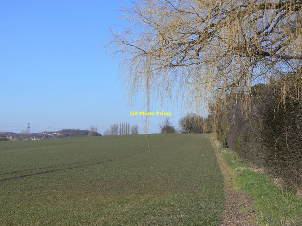 Photo 6"x4" Hedgerow off Pasture Lane Brook Hill\/SK5633 c2010