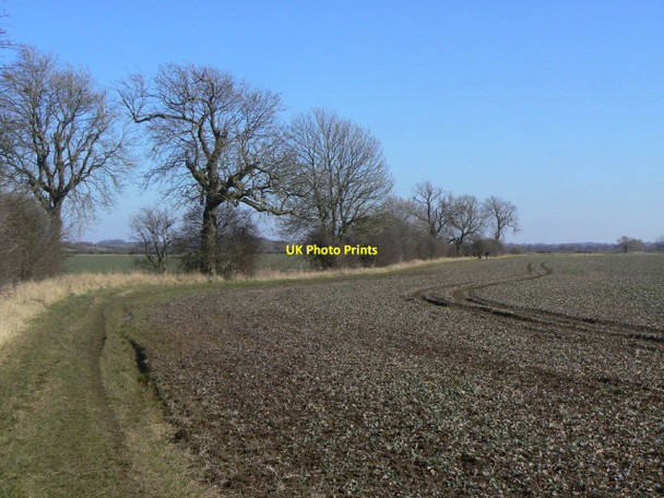 Photo 6"x4" Bunny Moor Bradmore\/SK5831 c2010