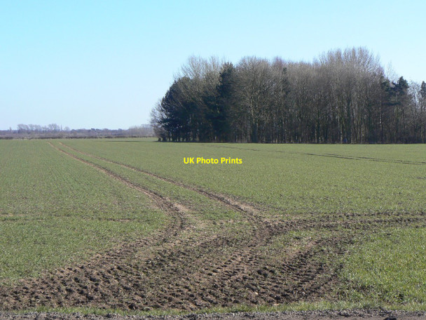 Photo 6"x4" Bradmore Moor Bradmore\/SK5831 c2010