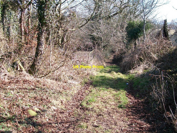 Photo 6"x4" Green Lane between Betws Fawr and Rhoslan Llanystumdwy c2010