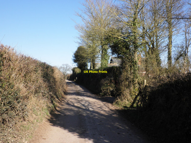 Photo 6"x4" Minor road to Eastington, near 'The Rest' Eastington\/SS7409 c2010