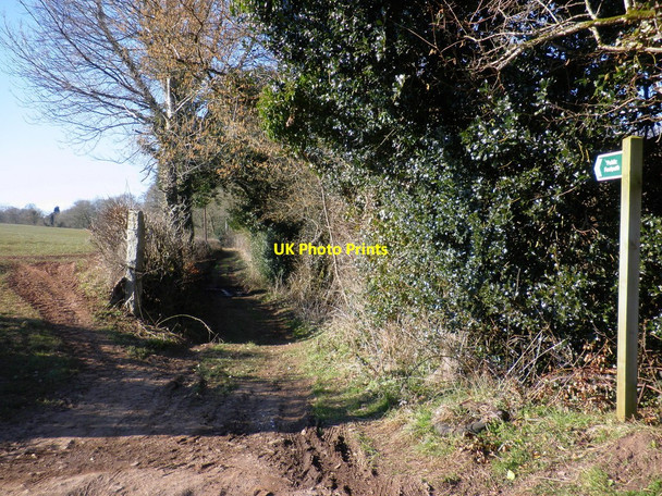 Photo 6"x4" Footpath, to Parsonage Farm Eastington\/SS7409 c2010