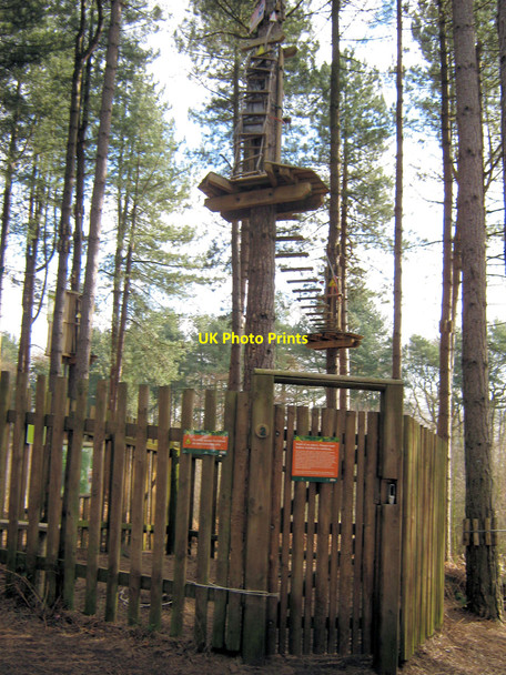 Photo 6"x4" Start of the Go Ape course Hatchmere c2010