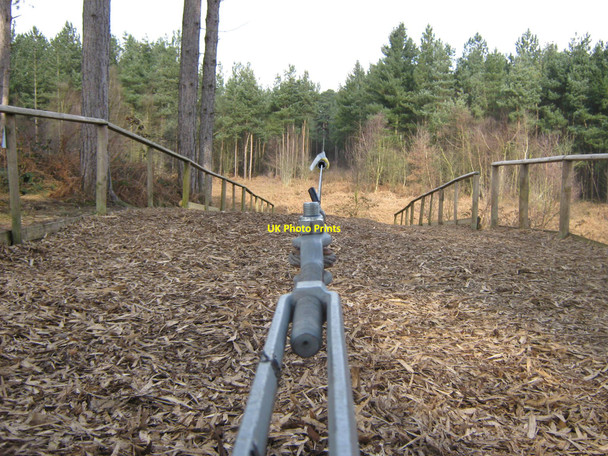 Photo 6"x4" The final zip wire on the Go Ape course in Delamere Forest Hatchmere c2010
