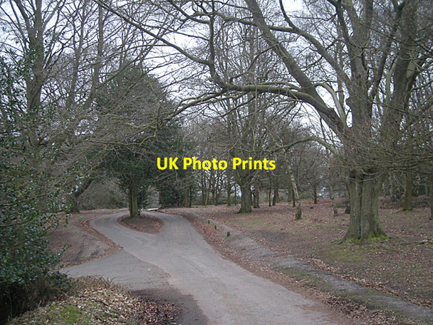 Photo 6"x4" Road near Holly Hurst Tudor Hill c2010