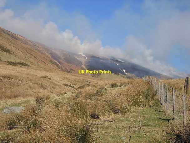 Photo 6"x4" Grass fire on the side of Bryn Glas Ponterwyd c2010