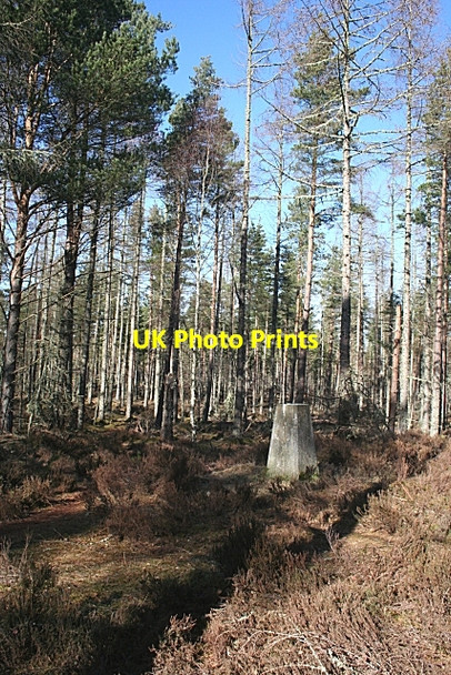 Photo 6"x4" Cuttieshillock East Triangulation Pillar Quarrywood c2010