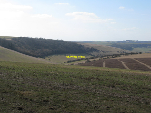 Photo 6"x4" The woods on the hillside are Pangdean Holt and the dry valley is Holt Bottom Pyecombe c2010