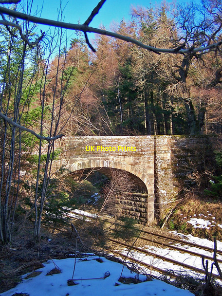 Photo 6"x4" Forest railway bridge Smithton c2010