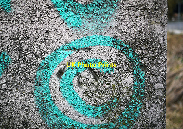 Photo 6"x4" Bench Mark, Belfast Belfast c2010