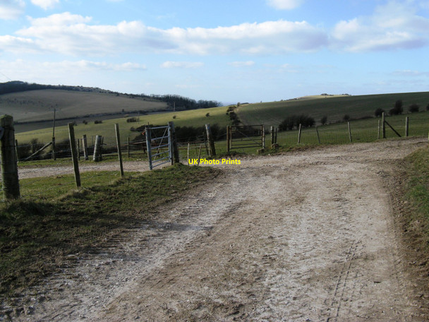 Photo 6"x4" Bridleway junction on Varncombe Hill Saddlescombe c2010
