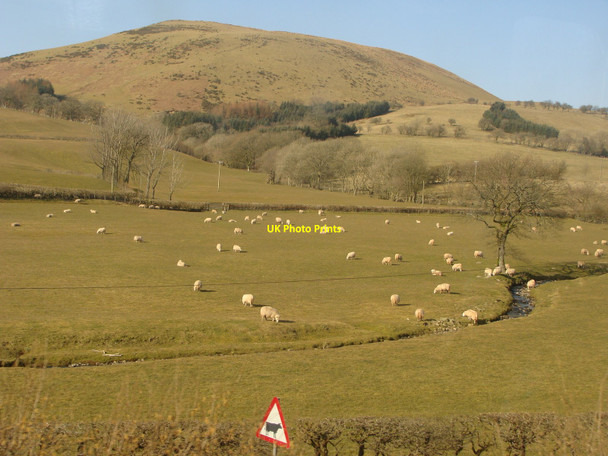 Photo 6"x4" Nant y Cae (stream) from the Heart of Wales railway line Llanwrtyd Wells c2010
