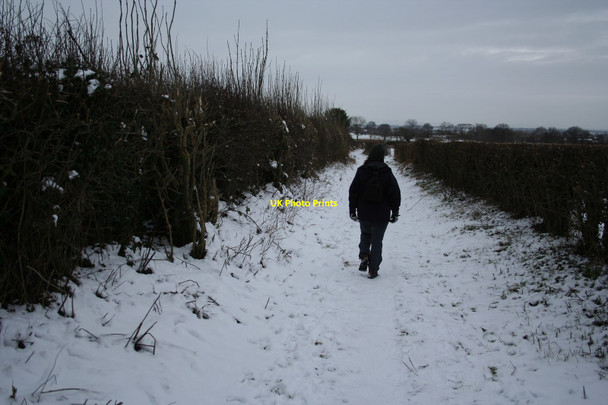 Photo 6"x4" Footpath southwest of Ashton Hayes Ashton\/SJ5069 c2010