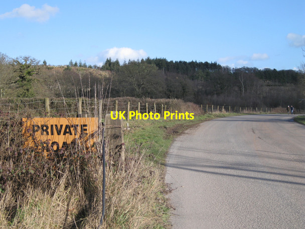 Photo 6"x4" Private road to Babcombe Copse Sandygate\/SX8674 c2010