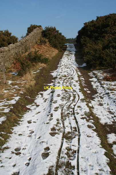 Photo 6"x4" Bridleway near Holburn Holburn c2010
