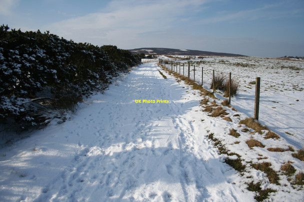 Photo 6"x4" St Cuthbert's Way near Fawcet Hill Detchant c2010