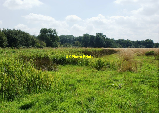 Photo 6"x4" Wet grassland on the floodplain of the River Loddon Carter's Hill\/SU7669 c2009