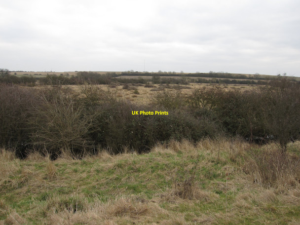 Photo 6"x4" Rough grass by the Ouse Washes Mepal c2010