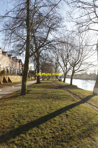 Photo 6"x4" New Walk, looking towards Fulford York\/SE5951 c2010