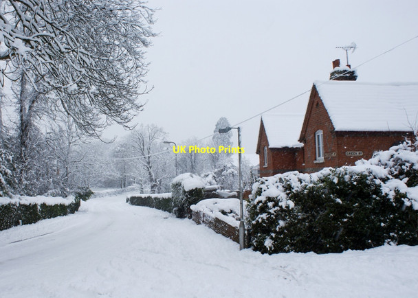Photo 6"x4" Whiteknights Road in the snow Reading c2010