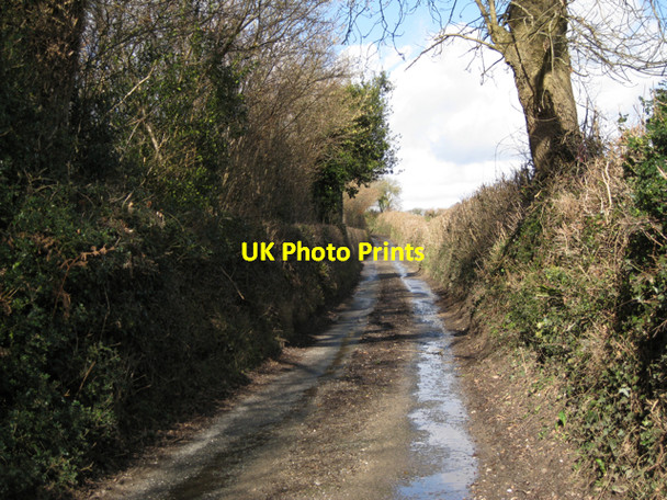 Photo 6"x4" Lane west of Ugbrooke Stream Gappah c2010