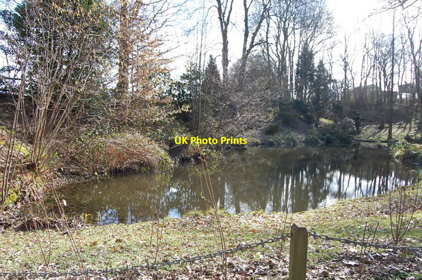 Photo 6"x4" Pond, off Sempstead Lane Collier's Green c2010