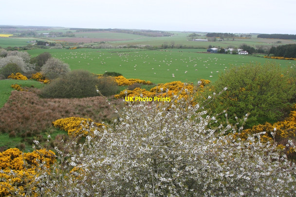 Photo 6"x4" Looking down the gulley from the old railway embankment at Upper Allaloth Clochan c2007