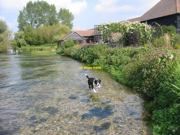 Photo 6"x4" The river at Tufton Tufton\/SU4546 c2007
