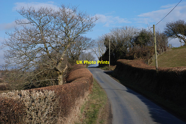 Photo 6"x4" Minor road heading past Tangaer Llangwyryfon c2010