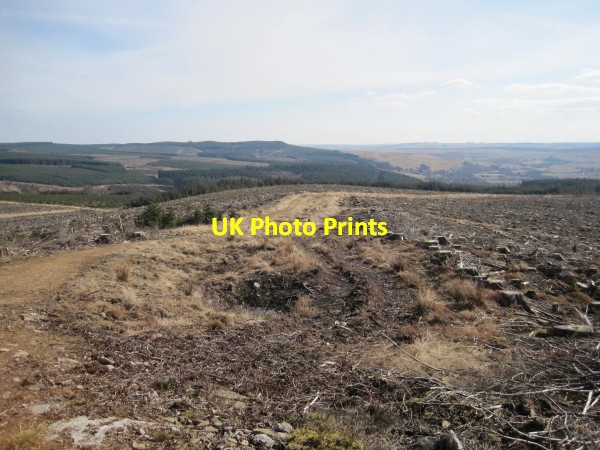 Photo 6"x4" Bridleway towards High Hawkhope Hawkhope\/NY7188 c2010