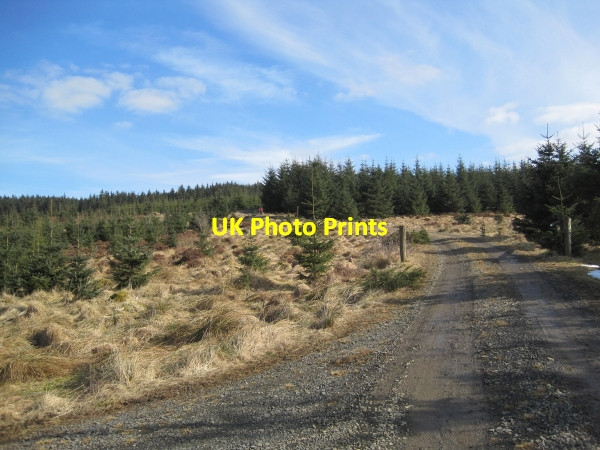 Photo 6"x4" Forestry Road near Wainhope Wainhope\/NY6792 c2010