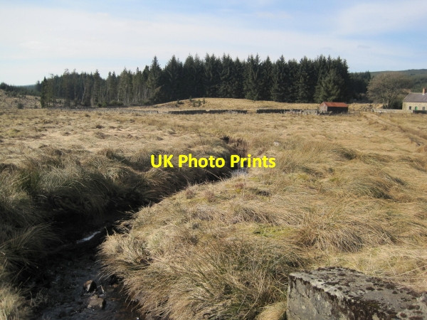 Photo 6"x4" The Dry Burn at Wainhope Wainhope\/NY6792 c2010