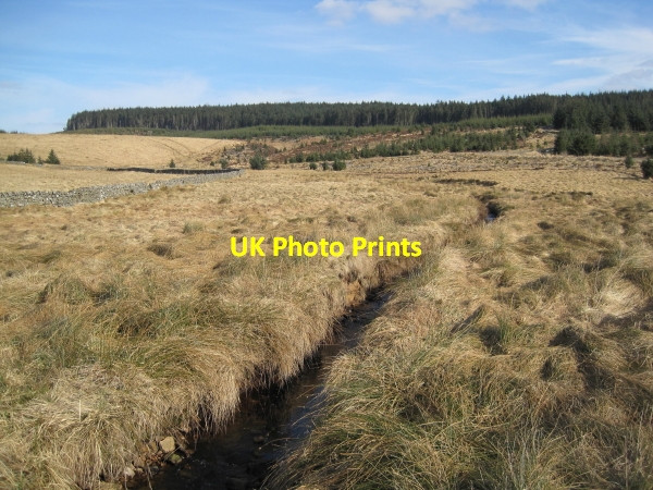 Photo 6"x4" The Dry Burn at Wainhope Wainhope\/NY6792 c2010