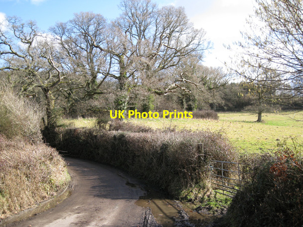 Photo 6"x4" Gappah Lane east of Ugbrooke Stream Gappah c2010