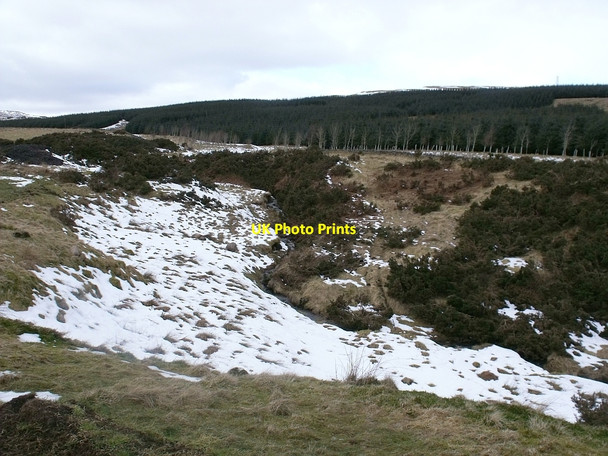 Photo 6"x4" Craigdouffie Burn, winding through high shallow gully Banton\/NS7579 c2010