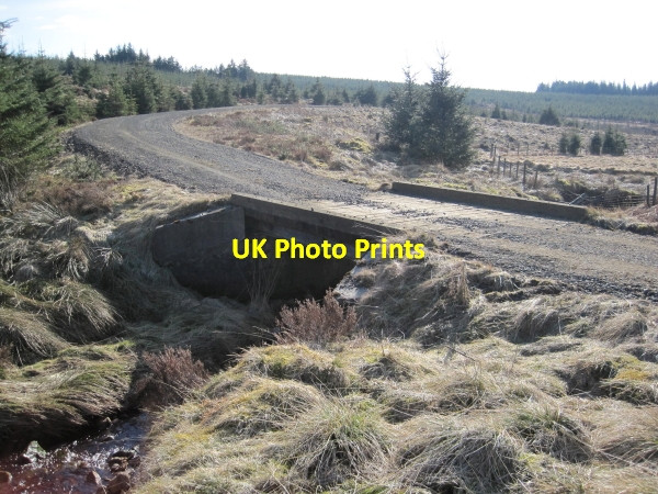 Photo 6"x4" Forestry Road Bridge over the Dry Burn Wainhope\/NY6792 c2010
